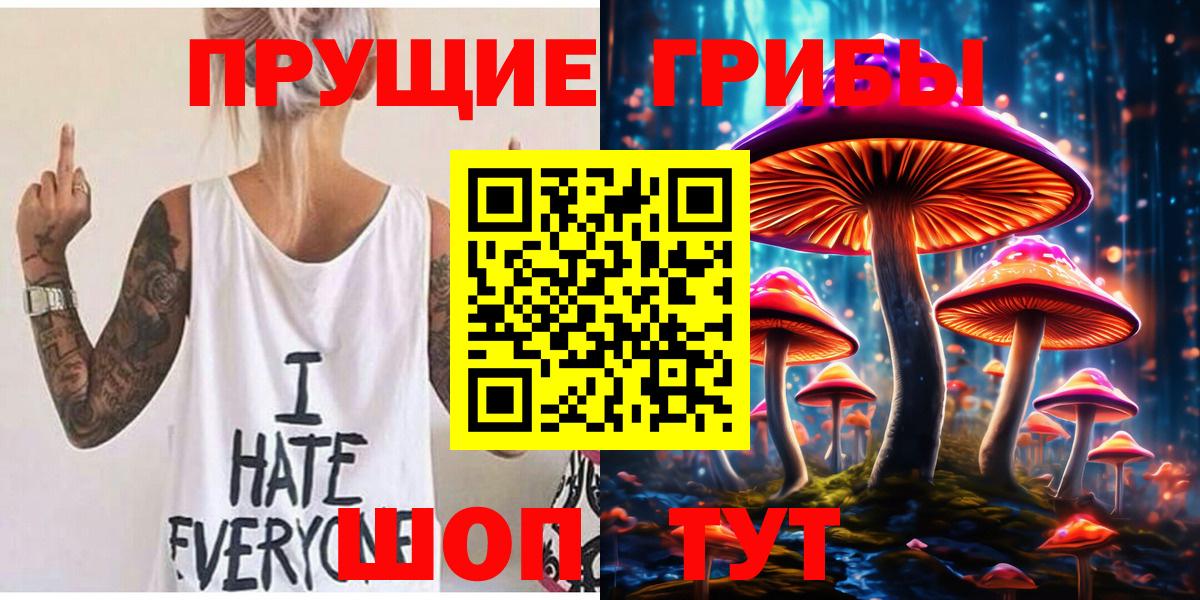дарнет шоп  Вход с VPN  Кострома  Псилоцибиновые грибы GOLDEN TEACHER 